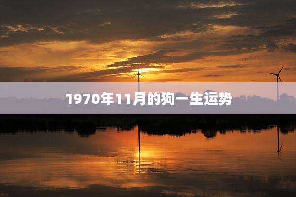 1970年11月的狗一生运势