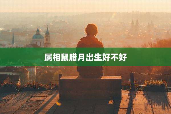 属相鼠腊月出生好不好