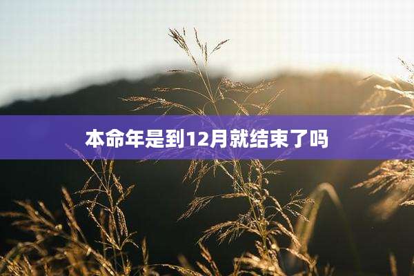 本命年是到12月就结束了吗