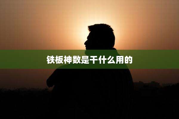 铁板神数是干什么用的
