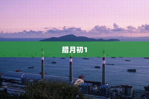 腊月初1