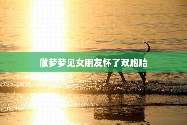 做梦梦见女朋友怀了双胞胎
