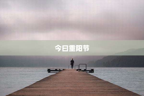 今曰重阳节
