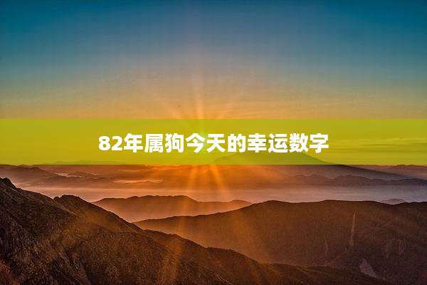 82年属狗今天的幸运数字