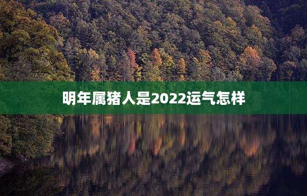 明年属猪人是2022运气怎样