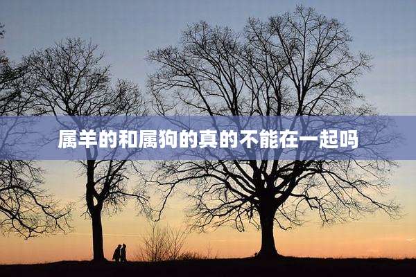 属羊的和属狗的真的不能在一起吗