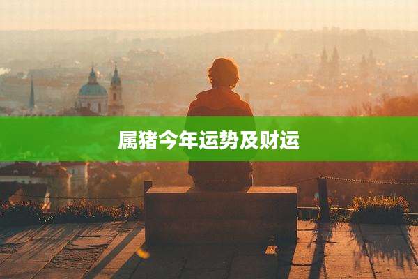 属猪今年运势及财运