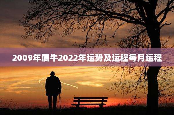 2009年属牛2022年运势及运程每月运程