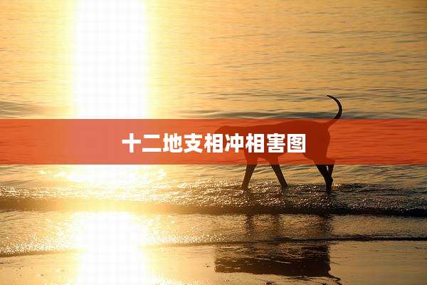 十二地支相冲相害图