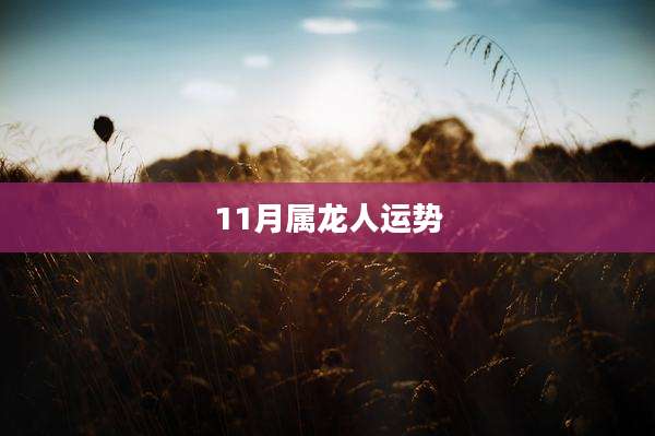 11月属龙人运势