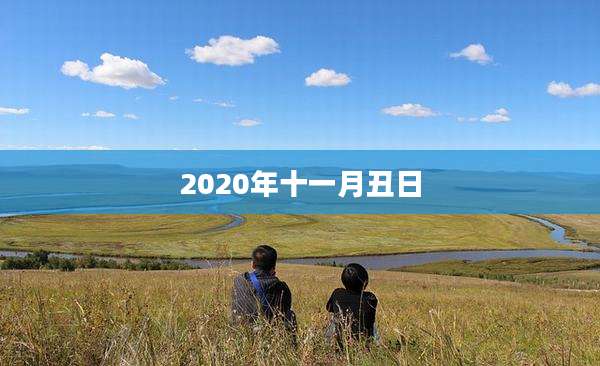 2020年十一月丑日