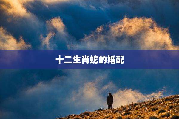 十二生肖蛇的婚配