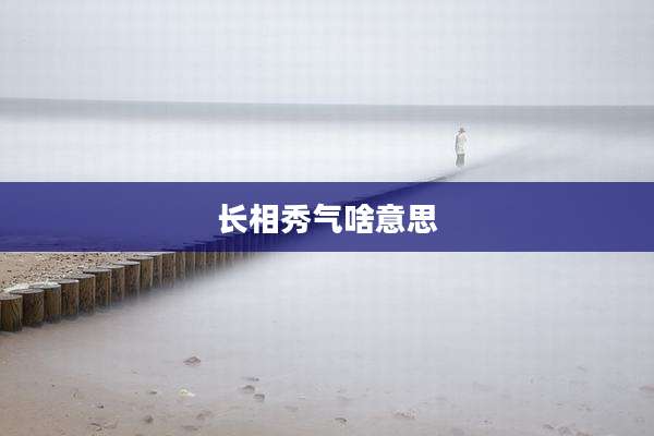 长相秀气啥意思