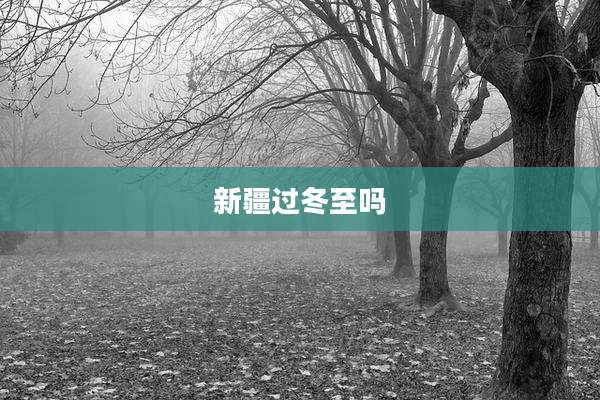 新疆过冬至吗