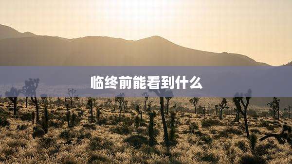 临终前能看到什么