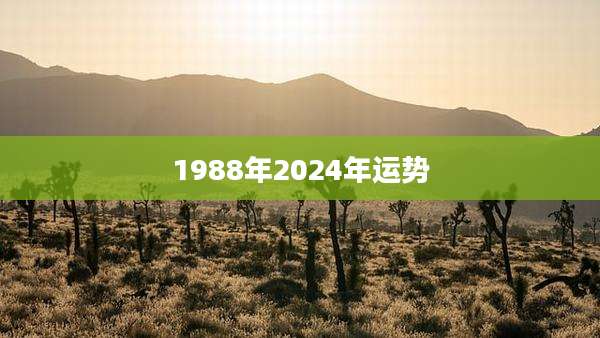 1988年2024年运势