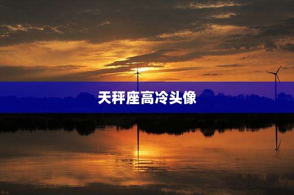 天秤座高冷头像