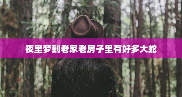 夜里梦到老家老房子里有好多大蛇