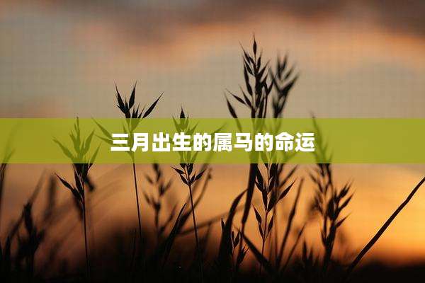 三月出生的属马的命运