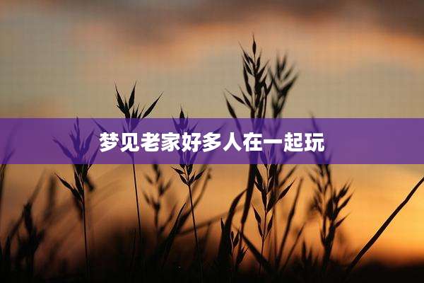 梦见老家好多人在一起玩