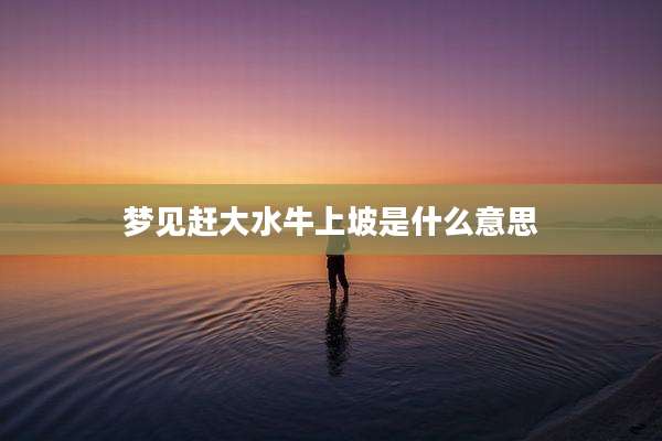 梦见赶大水牛上坡是什么意思