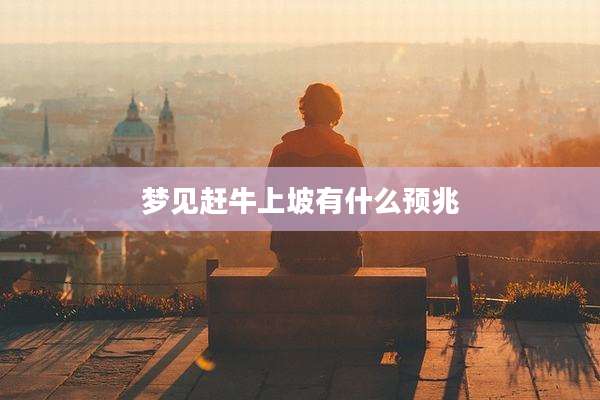 梦见赶牛上坡有什么预兆