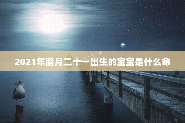 2021年腊月二十一出生的宝宝是什么命