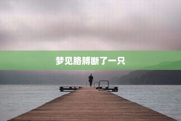 梦见胳膊断了一只