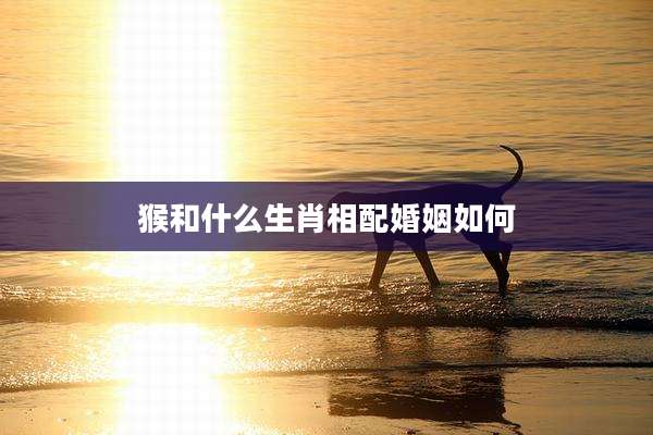 猴和什么生肖相配婚姻如何