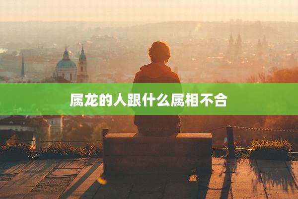 属龙的人跟什么属相不合