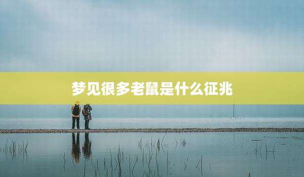 梦见很多老鼠是什么征兆