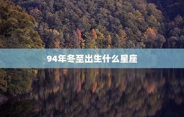 94年冬至出生什么星座
