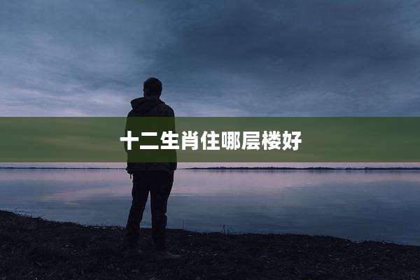 十二生肖住哪层楼好