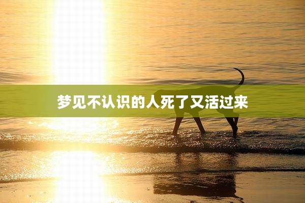 梦见不认识的人死了又活过来