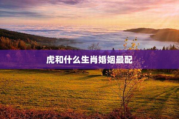 虎和什么生肖婚姻最配