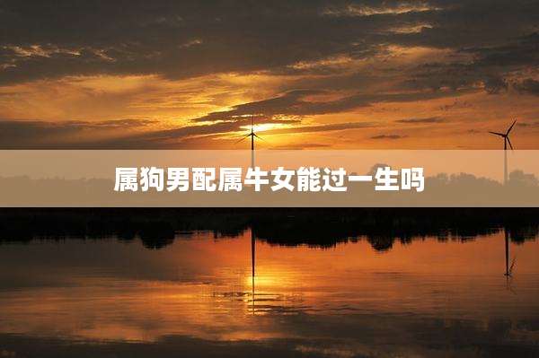 属狗男配属牛女能过一生吗