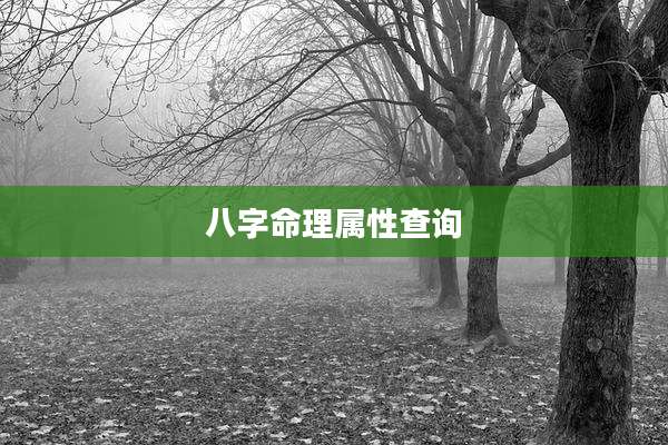 八字命理属性查询
