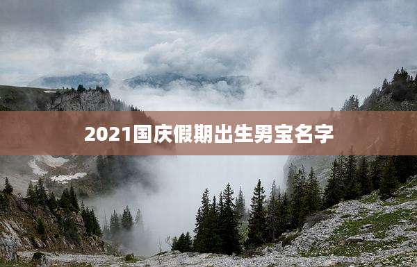 2021国庆假期出生男宝名字