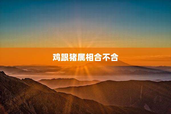 鸡跟猪属相合不合