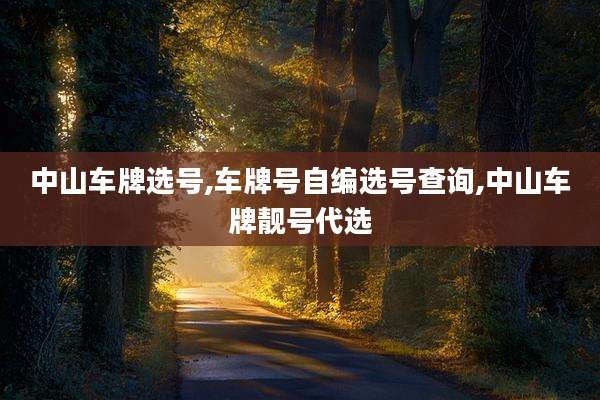 中山车牌选号,车牌号自编选号查询,中山车牌靓号代选