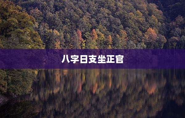 八字日支坐正官