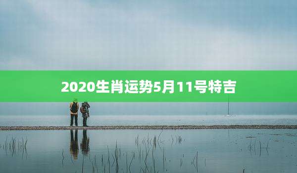 2020生肖运势5月11号特吉
