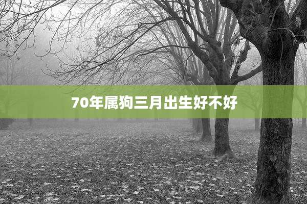 70年属狗三月出生好不好