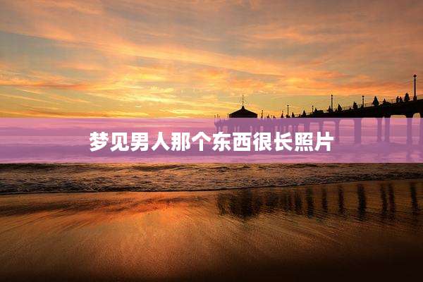梦见男人那个东西很长照片