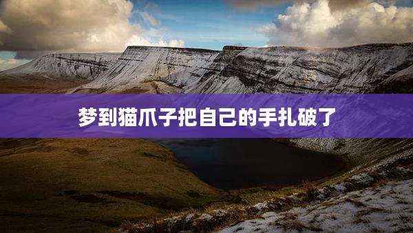 梦到猫爪子把自己的手扎破了