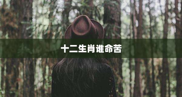 十二生肖谁命苦