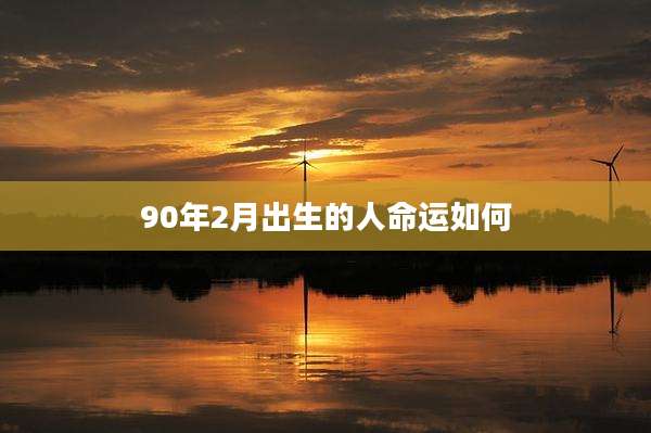 90年2月出生的人命运如何