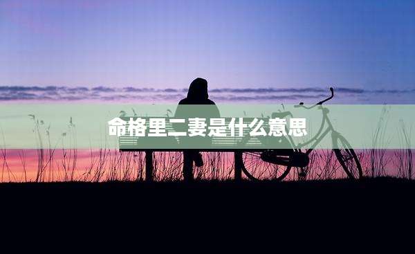 命格里二妻是什么意思