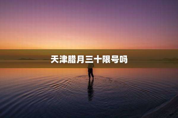 天津腊月三十限号吗
