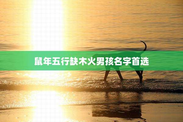 鼠年五行缺木火男孩名字首选